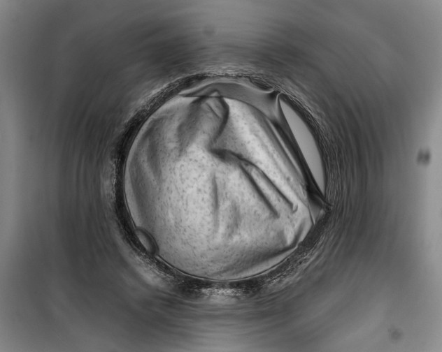 X0000099410448200805301349