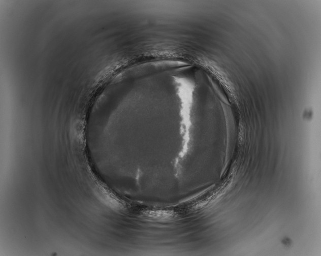 X0000099410449200805301349