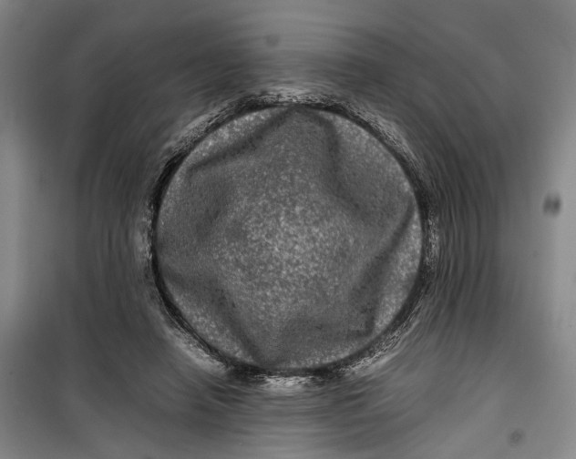 X0000099410450200805301349