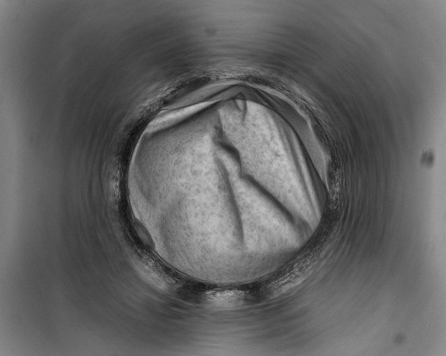 X0000099410452200805301349