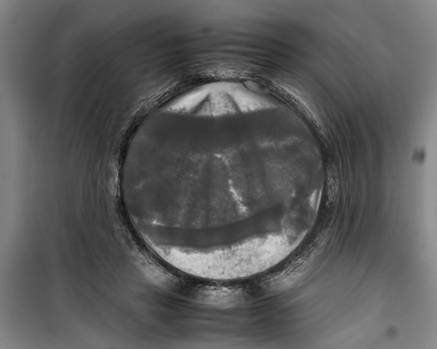 X0000099410453200805301349