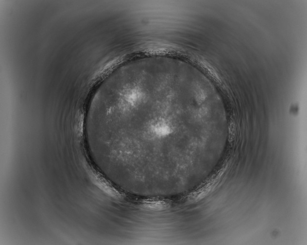 X0000099410454200805301349