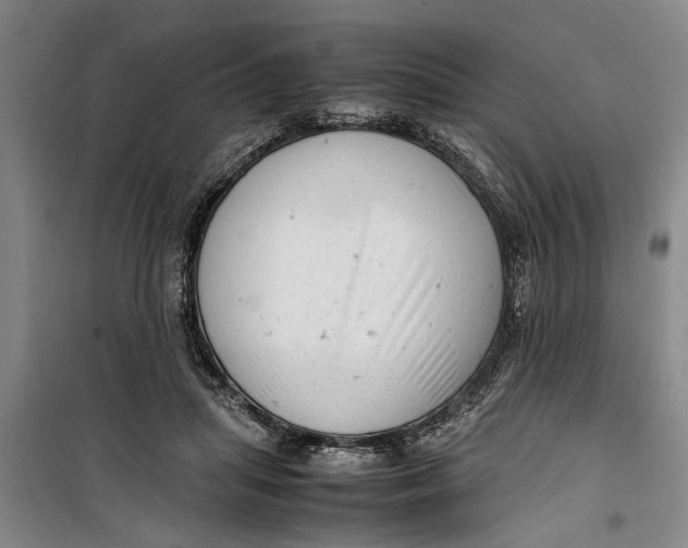 X0000099410455200805301349