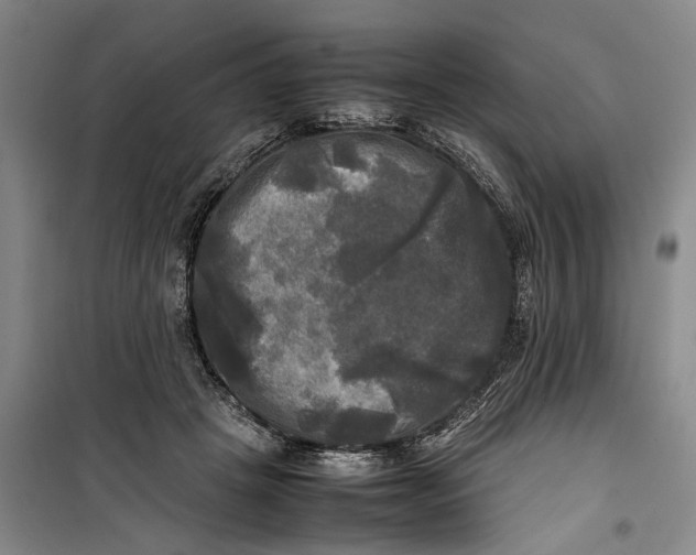 X0000099410457200805301349