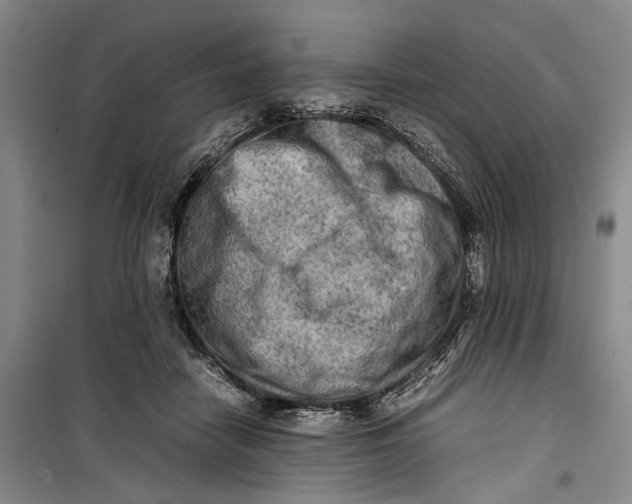 X0000099410458200805301349