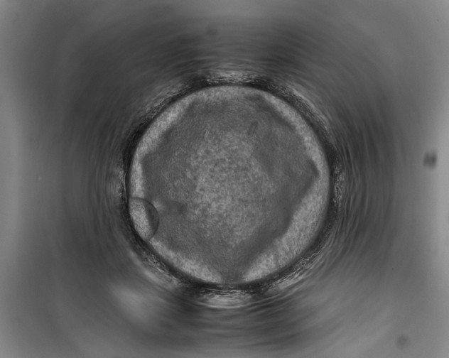 X0000099410459200805301349