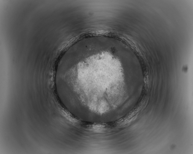 X0000099410462200805301349