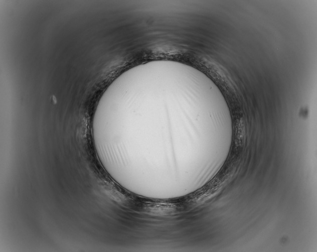 X0000099410463200805301349