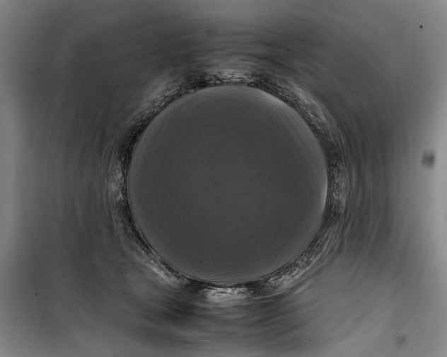 X0000099410465200805301349