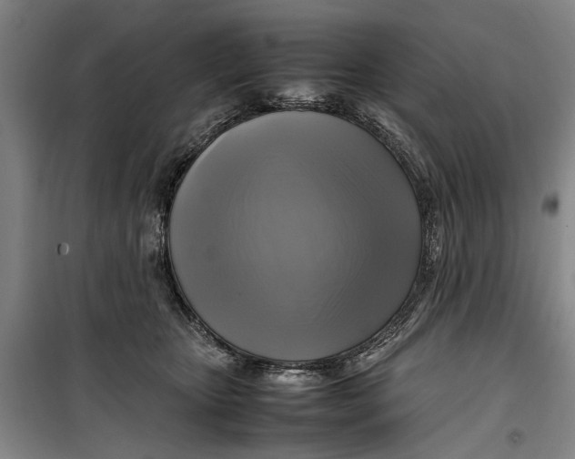 X0000099410467200805301349