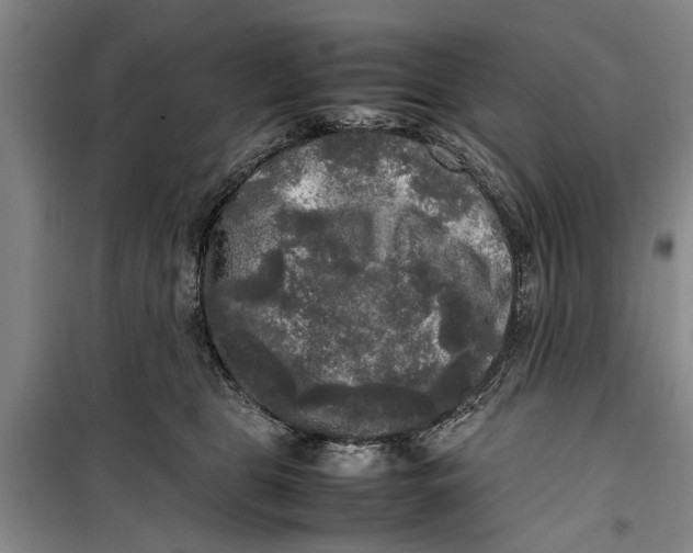 X0000099410469200805301349