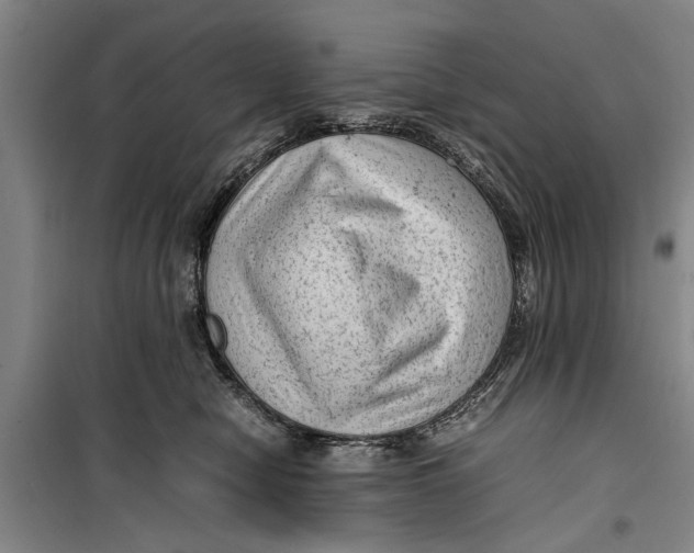 X0000099410470200805301349