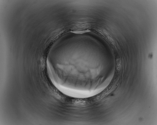 X0000099410471200805301349