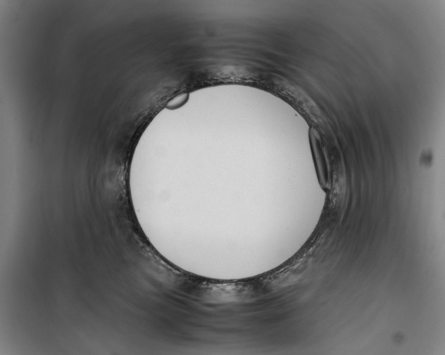 X0000099410473200805301349