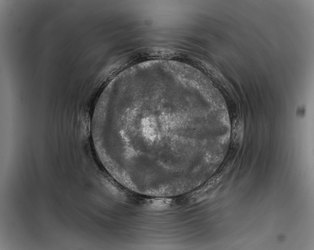 X0000099410474200805301349