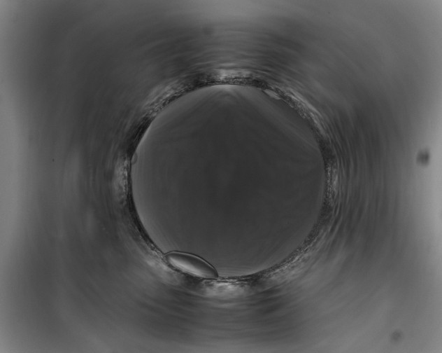 X0000099410475200805301349