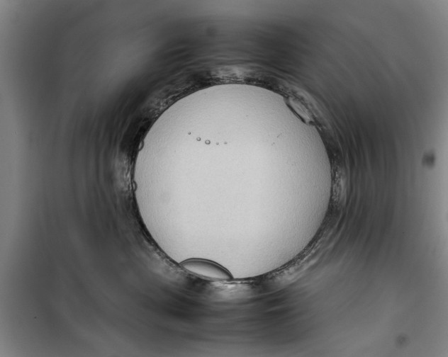 X0000099410477200805301349