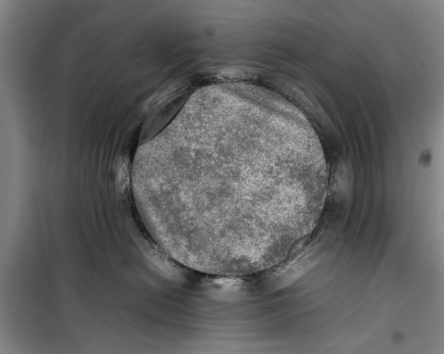 X0000099410478200805301349