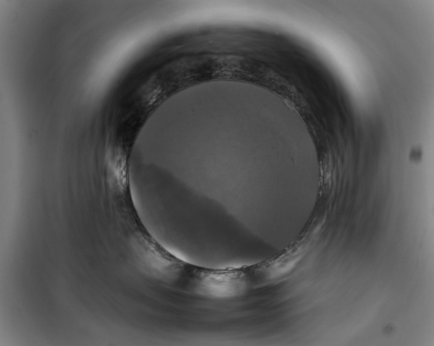 X0000099410479200805301350