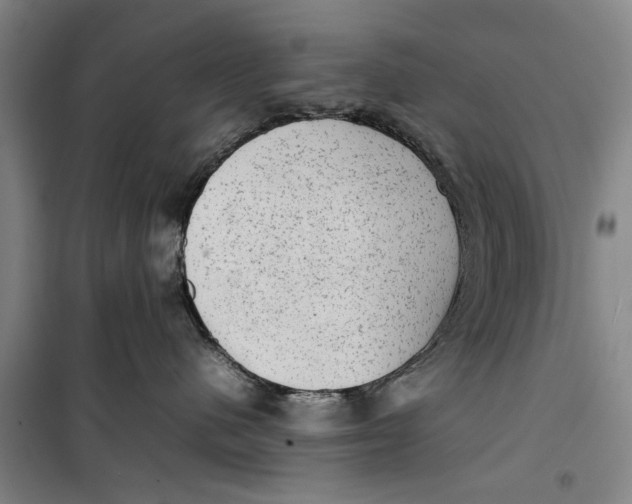 X0000099410480200805301350