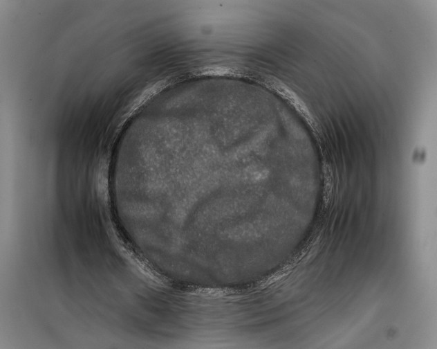 X0000099410482200805301349