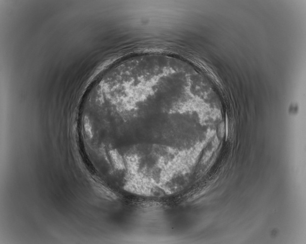 X0000099410483200805301349