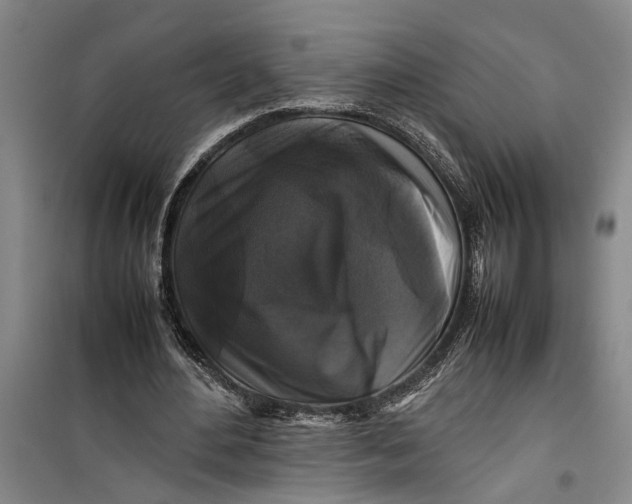 X0000099410484200805301349