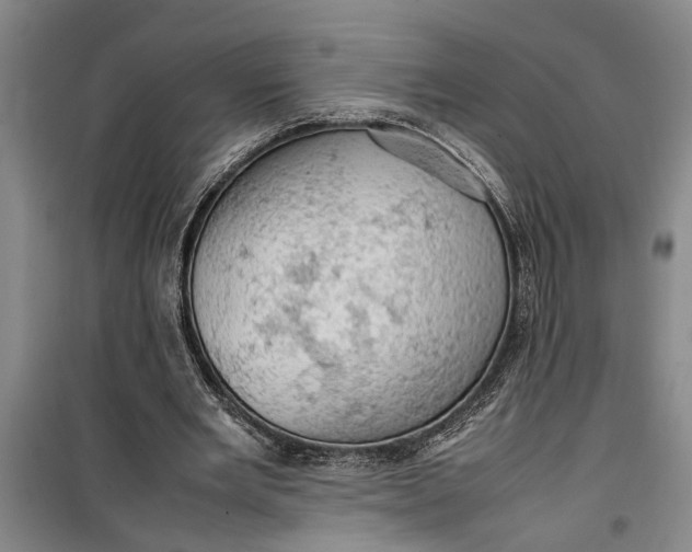 X0000099410485200805301349