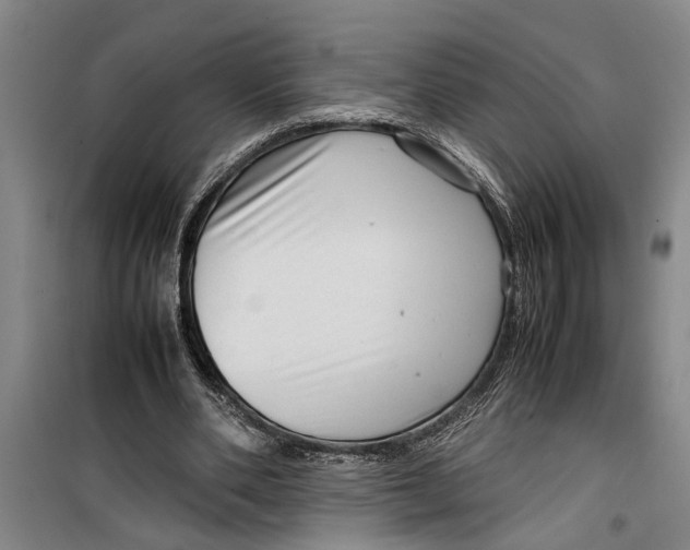 X0000099410486200805301349