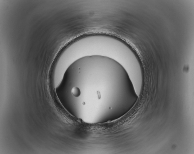 X0000099410487200805301349