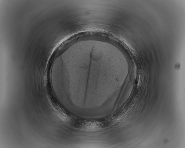 X0000099410488200805301349