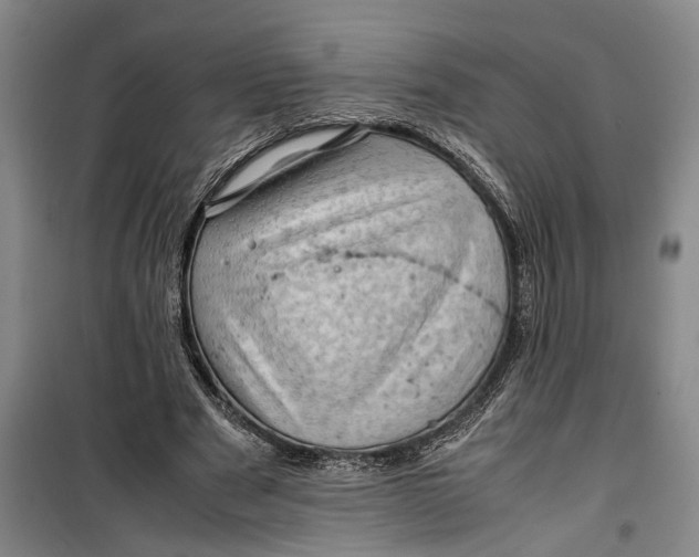 X0000099410489200805301349