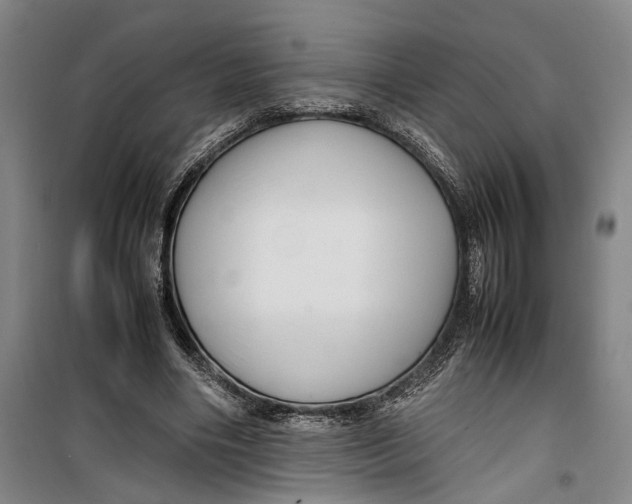 X0000099410490200805301349