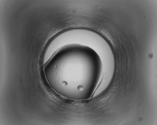 X0000099410491200805301349