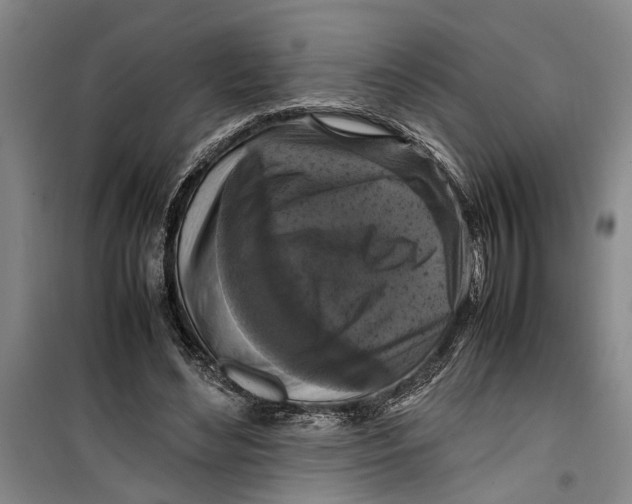 X0000099410492200805301349