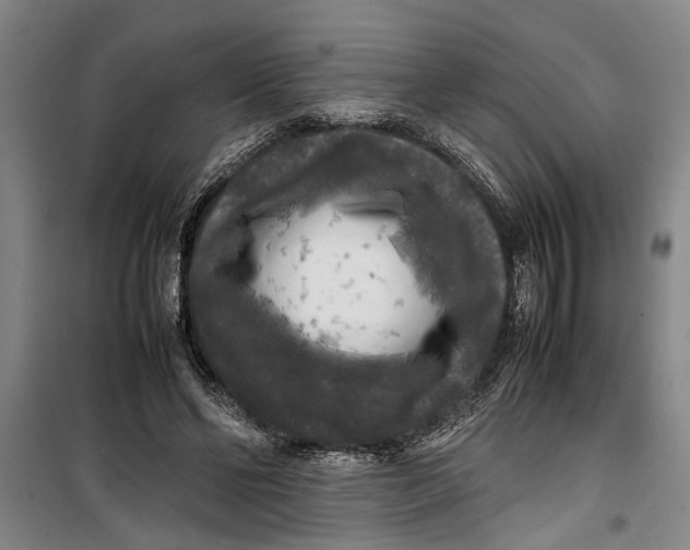 X0000099410494200805301348