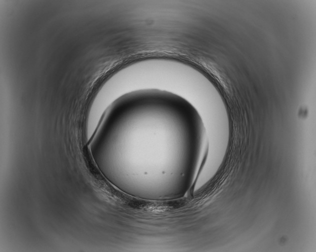 X0000099410495200805301348