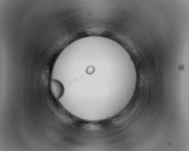 X0000099410498200805301348