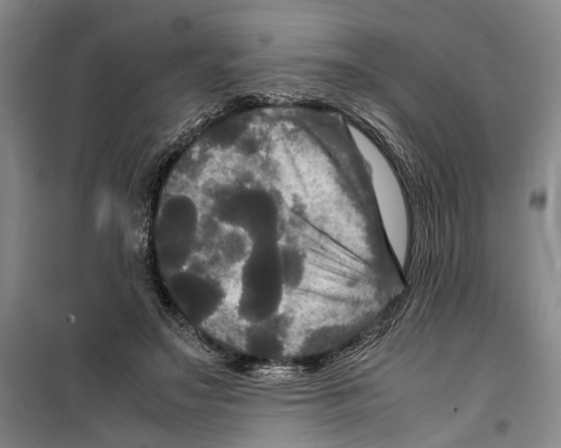 X0000099410499200805301348