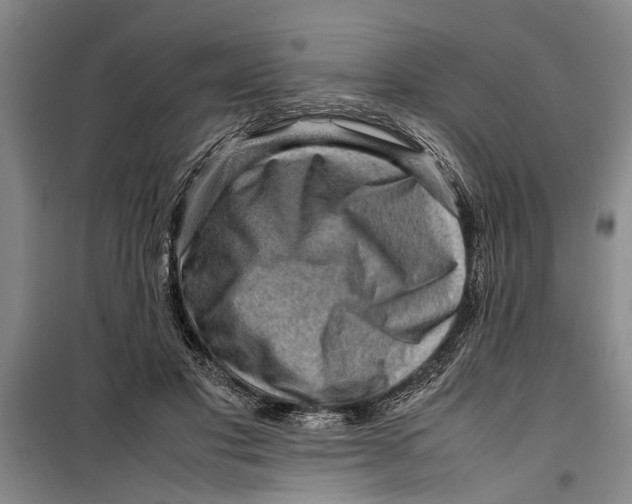 X0000099410501200805301348