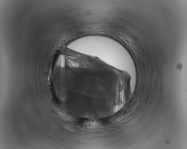 X0000099410503200805301348