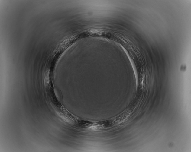 X0000099410504200805301348