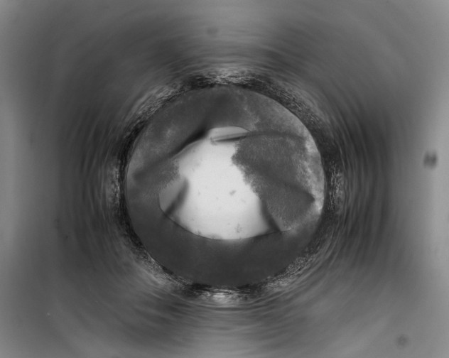 X0000099410506200805301348