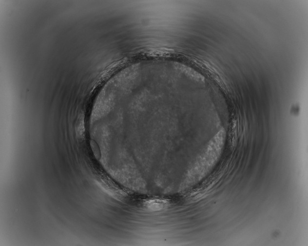 X0000099410508200805301348