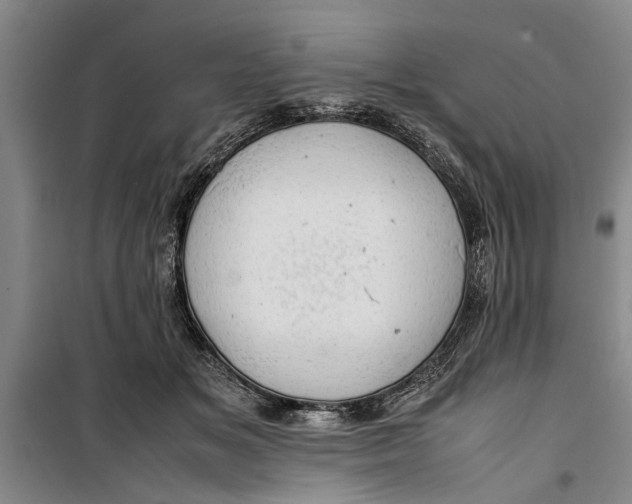 X0000099410509200805301348