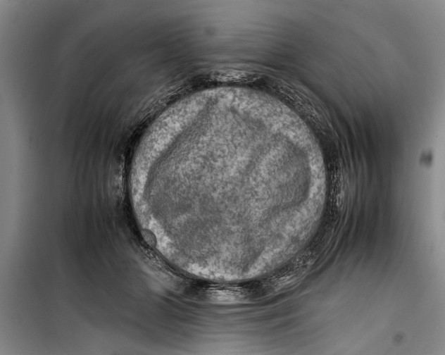 X0000099410510200805301348