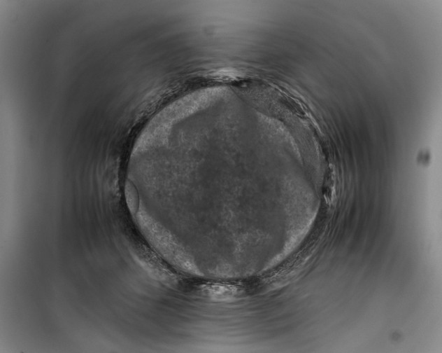 X0000099410512200805301348