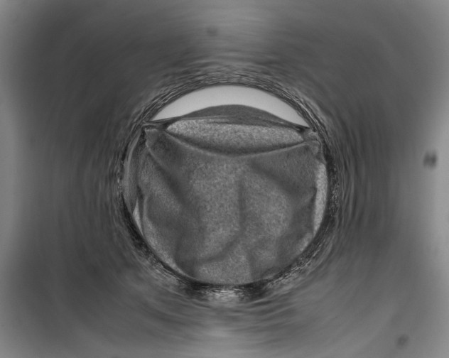 X0000099410513200805301348