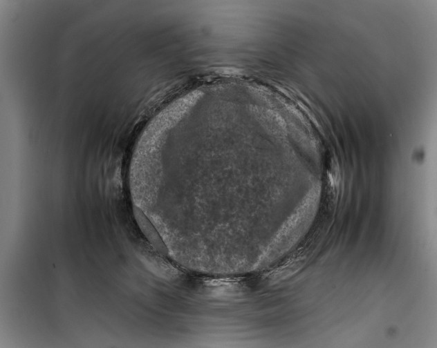 X0000099410516200805301348