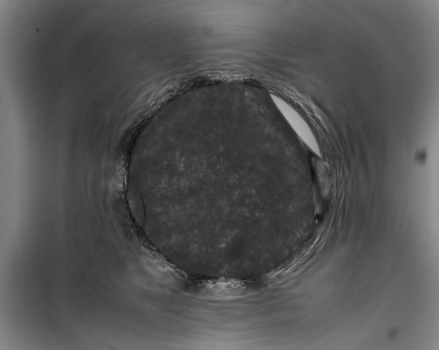 X0000099410517200805301348